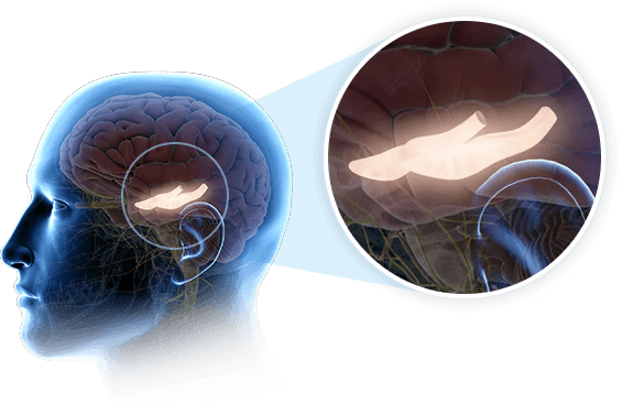 Brain Wave Training