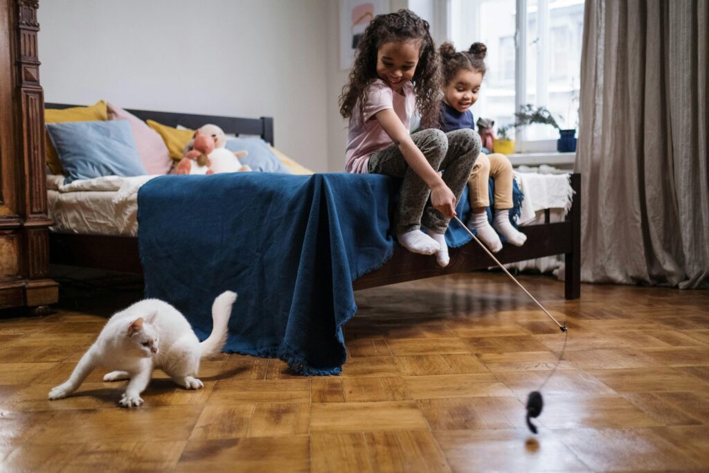 Discover 5 viral Amazon pet products taking over 2025. These trending, highly-rated items are must-haves for any pet owner.